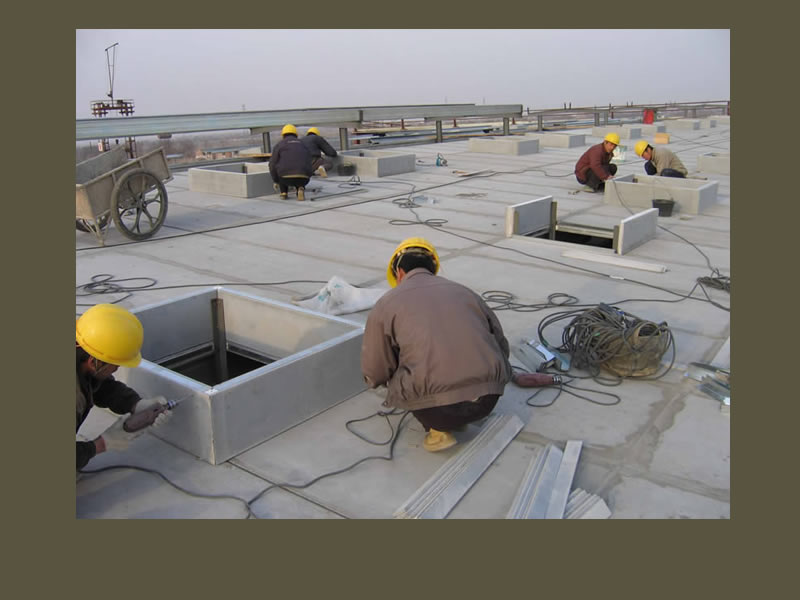 Roof skylights